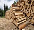 Darmowy nocleg, sortowanie drewna –  praca Niemcy