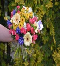 Bukiety kwiatowe- DARWMOY BUS DO HOLANDII 