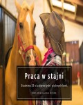 Pracownik stajni - stadnina 35-ciu koni / Dania