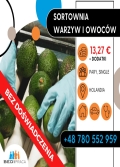 Produkcja / Sortownia Warzyw I Owocw- Holandia 