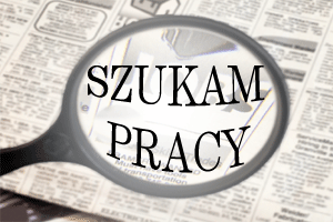 poszukuje pracy w krajach UE.