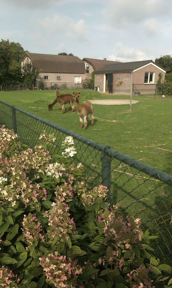 POSZUKIWANE mieszkanie+ praca 