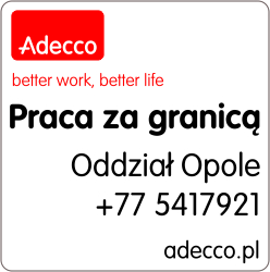 Magazynier Orderpicker