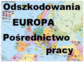 MALARZE I LAKIERNICY NA BUDOWIE 