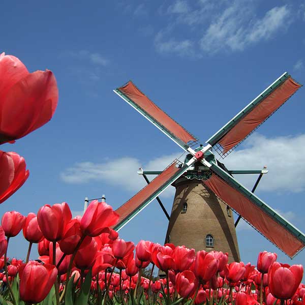Are You looking for a first job? Choose the Netherlands!