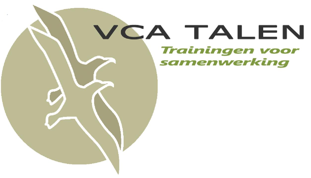 Szkolenie VCA Basic- 19.09.15 (sobota)- Rijswijk(Haga)
