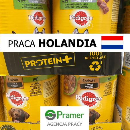 Pakowacz na produkcji - jedna zmiana!