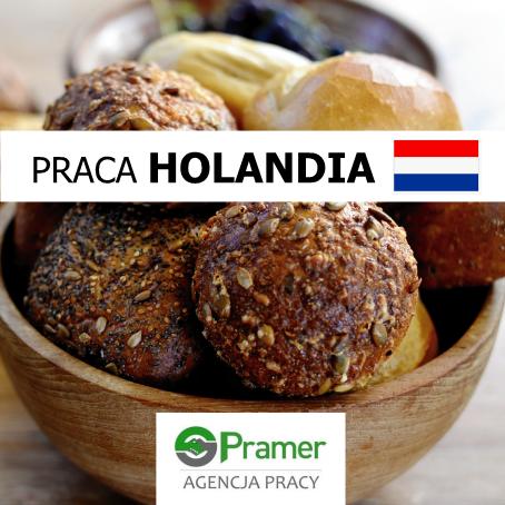 Pracownik piekarni - pakowanie pieczywa i ciastek - bez doświadczenia!