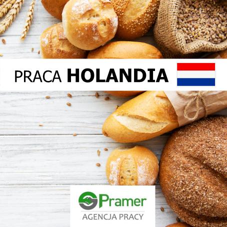 pakowanie pieczywa i ciastek - BEZ DOŚWIADCZENIA!