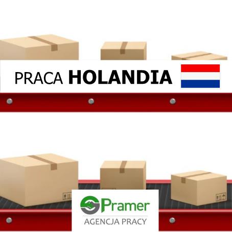 Pracownik sortowni paczek DHL - €11,48 + DODATKI!