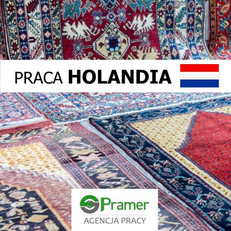 Pracownik w fabryce dywanów - €12,54 + DODATKI!