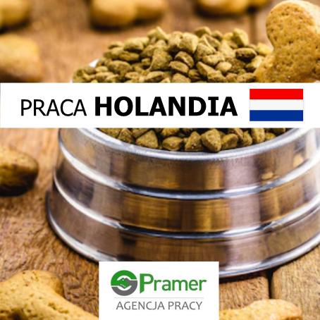 Pracownik przy produkcji karmy dla zwierząt - €13,46 + dodatki!