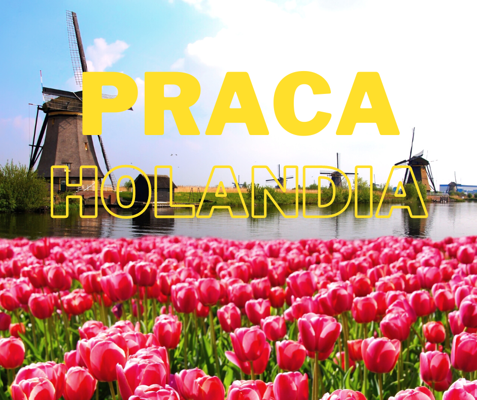 PRACA PRZY KWIATACH