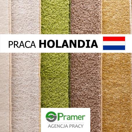 Pracownik produkcji dywanów - €12,76 + dodatki 