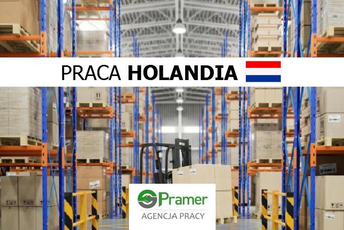 Komisjoner / order-picker (różne działy)