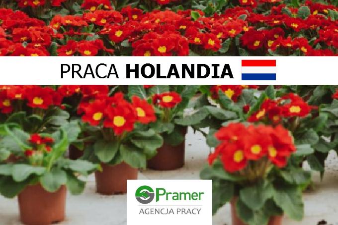 Pracownik pielęgnacji kwiatów