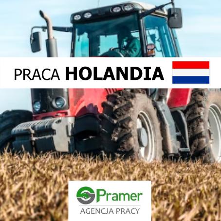 Pracownik gospodarstwa rolniczego / Traktorzysta (Dronten)