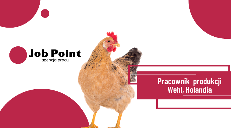  Pracownik produkcji drobiu
