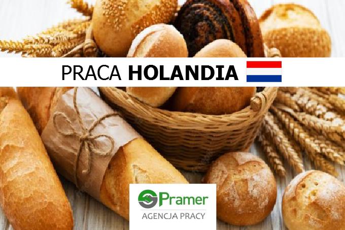 produkcja chleba i bułek w piekarni (€11.75-€16.10 brutto/h)