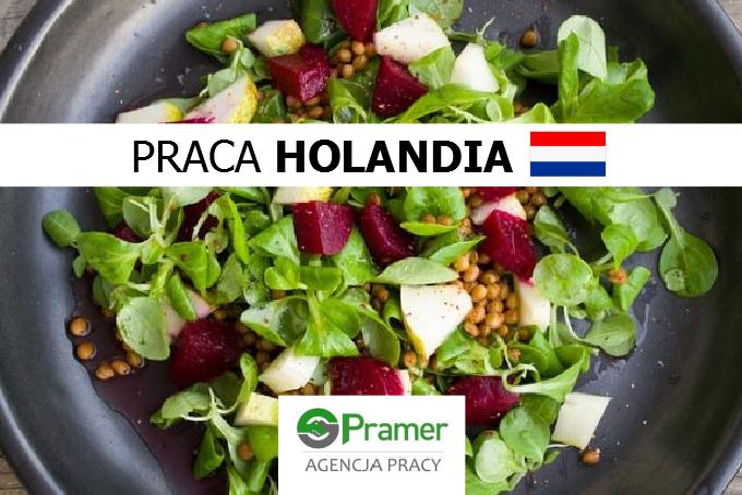 Produkcja sałatek (€11.98-23.96 brutto/h)