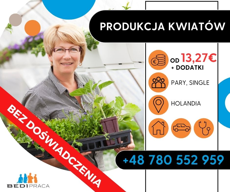 Produkcja Kwiatów- Holandia