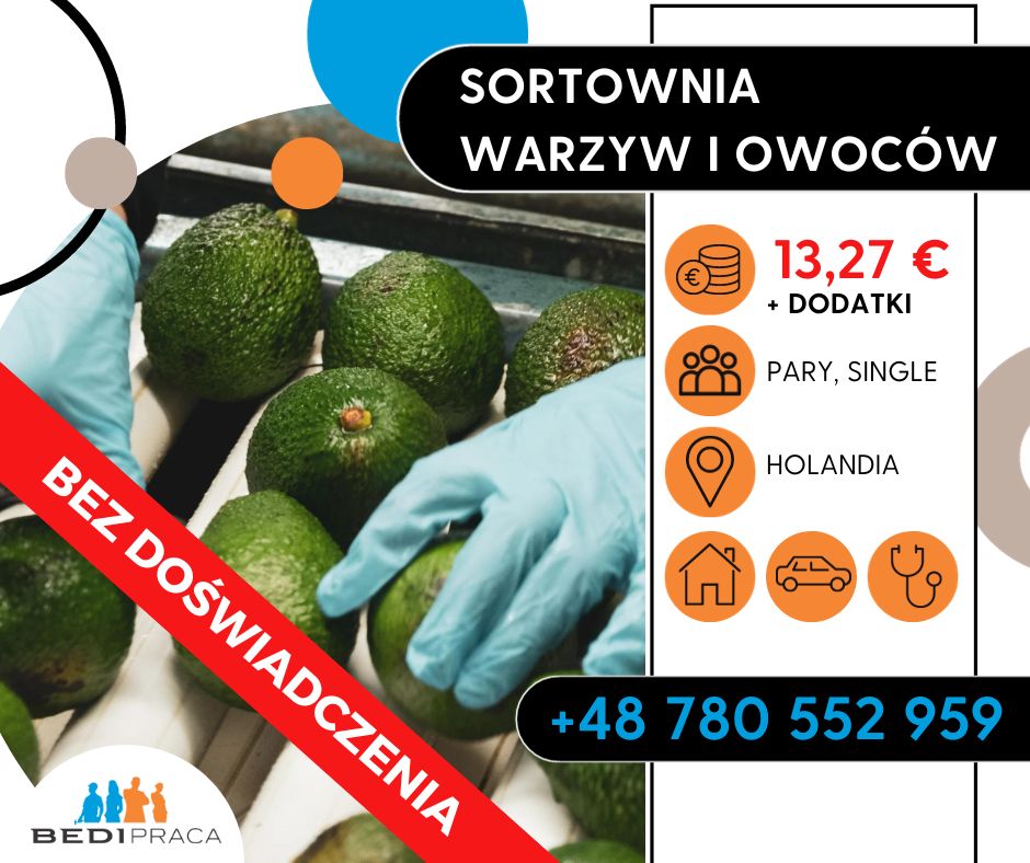 Produkcja / Sortownia Warzyw I Owoców- Holandia 