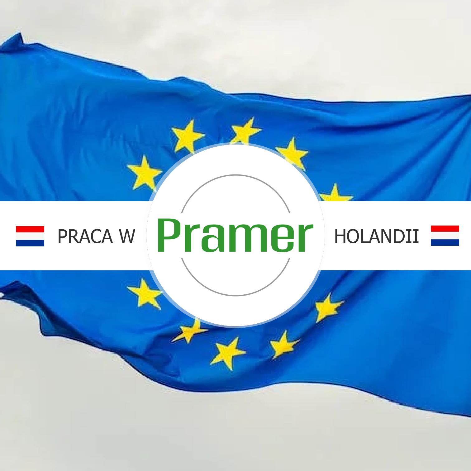 Pracownik Magazynu, Komisjoner / Order-picker, Lidl