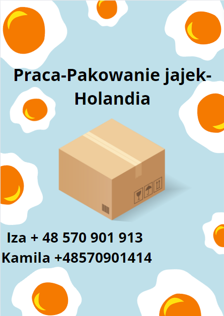 Pakowanie Jajek- Holandia - Wymagane Prawo Jazdy Kat. B