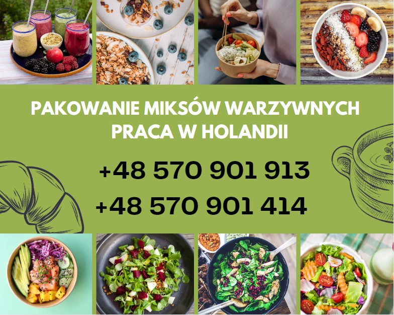 Praca Za Granicą- Holandia- Wysokie Zarobki