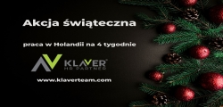 Dodatkowa Praca Na święta - Wyjazd Do Holandii!