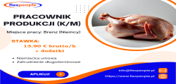 Pakowacz / Pracownik Produkcji (k/m)