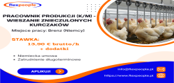 Pracownik Produkcji (k/m) -wieszanie Kurczakow W Przetwórstwie Drobiowym