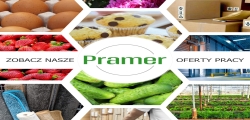  Komisjoner / Order-picker, Lidl - Warzywa I Owoce (almere)