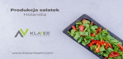 Praca W Holandii - Produkcja Sałatek - Od Zaraz!