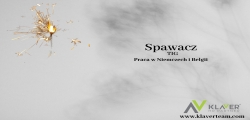 Spawacz/monter Tig &#8211; Belgia