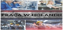 Praca W Holandii - Order Picker