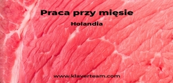 Rzeźnik- Praca W Holandii- Od Zaraz!