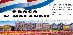 Obsługa Wózków Kwiatowych - Holandia