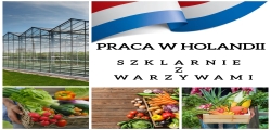 Pracownik Szklarni Z Papryką - 200 Euro Na Start + Zwrot Kosztów Dojazdu !