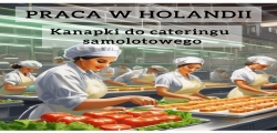 Produkcja Kanapek Do Samolotów - Holandia