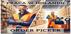 Order Picker - Holandia