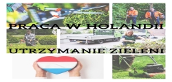 Utrzymanie, Pielęgnacja Ogrodów - Holandia - Praca Od Zaraz !!!