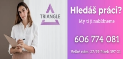 Czechy - Pracownik Produkcji Puzzli