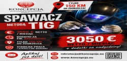 Spawacz/ka Tig - (dippoldiswalde-ml-bh-de)