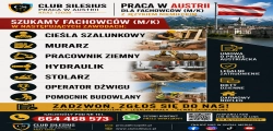 Cieśla Szalunkowy- Austria- Wyższe Stawki (m/k)