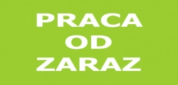 Zbiór Cukinii- Fajna Praca