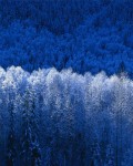 Szukam kompetentnej osoby