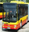 kierowca kat. D do Danii