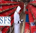  Order Picker, Produkcja, Zaopatrzenie Linii   