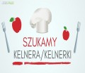 Kelner/Kelnerka -praca we Francji!